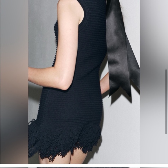 NWT ZARA  blogger fav FRINGED 
KNIT DRESS SIZE M
🚨FIRM PRICE NO DISCOUNT - Picture 13 of 16
